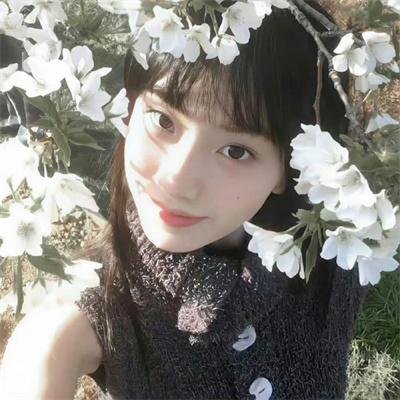 狐狸的夏天2 封面
