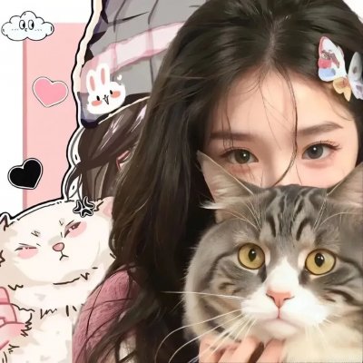 爱猫人 封面